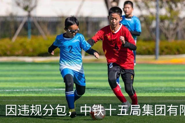 因违规分包，中铁十五局集团有限公司被暂停全军物资工程服务采购